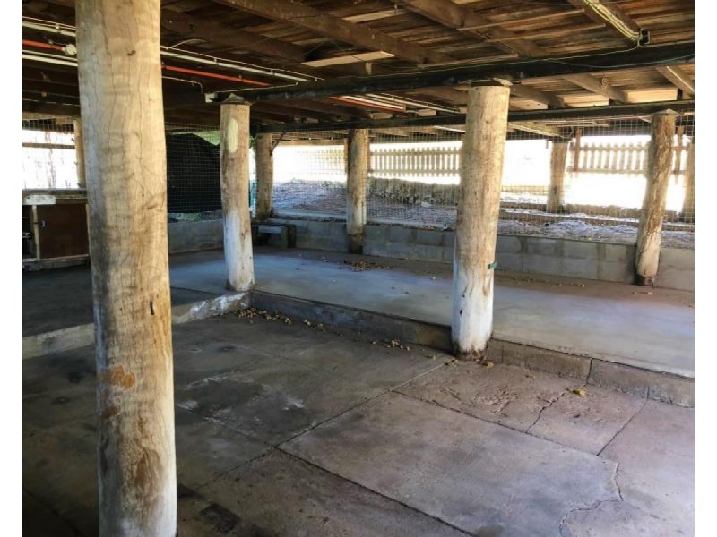 77 Cambridge Street, The Range QLD 4700